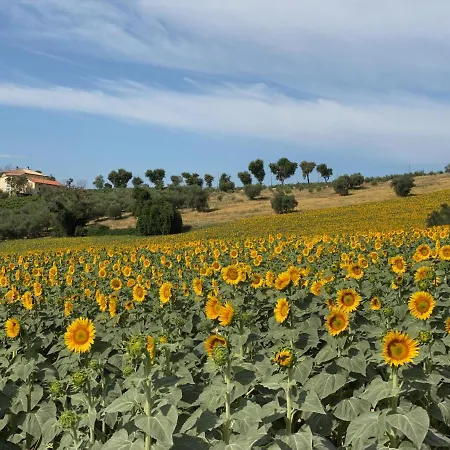 Girasole Апартаменты