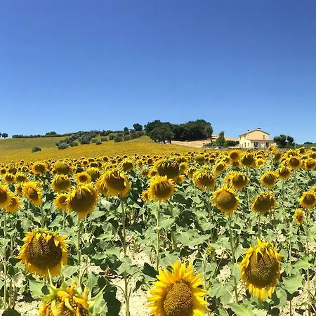 Апартаменты Girasole *