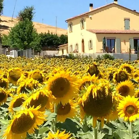 Girasole * サン・マルチェッロ