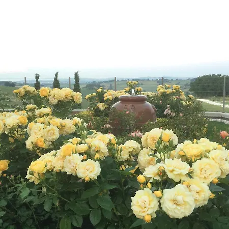 Girasole Апартаменты